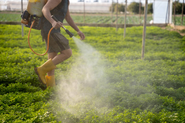 Best Pest Prevention Services  in Bend, OR