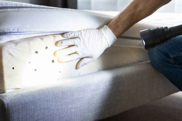 Best Cockroach Control Services  in Bend, OR