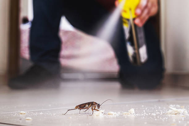 Best Residential Pest Control  in Bend, OR