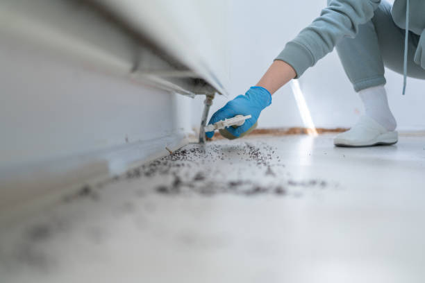 Best Wasp Removal Services  in Bend, OR